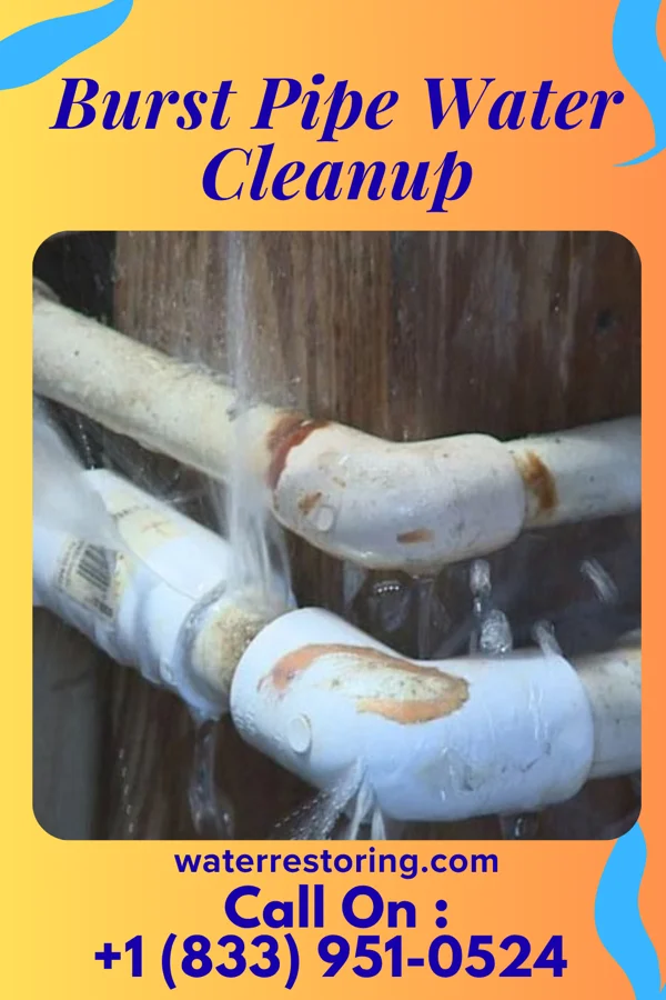 Burst Pipe Water Cleanup in Winneconne, WI