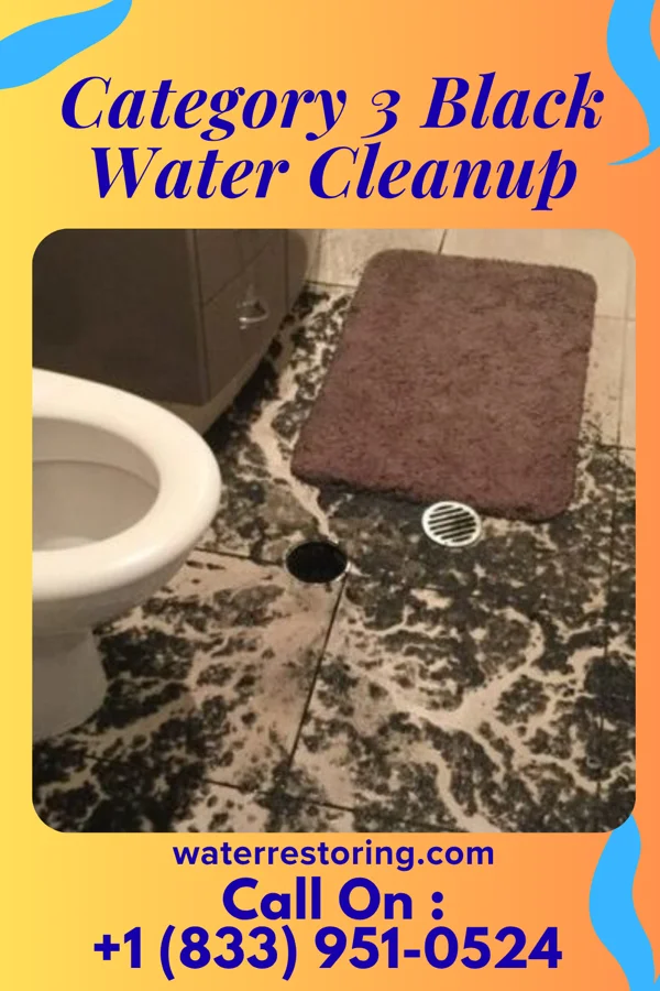 Category 3 Black Water Cleanup in Winneconne, WI