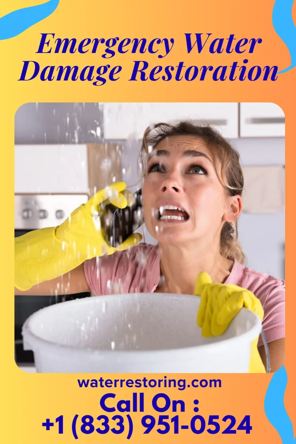 Emergency Water Damage Restoration in Winneconne, WI