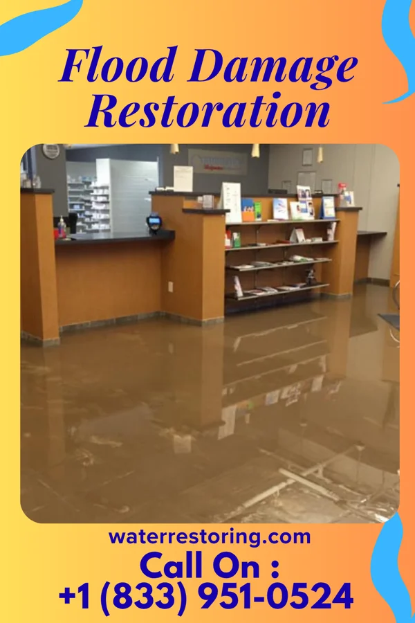 Flood Damage Restoration in Winneconne, WI
